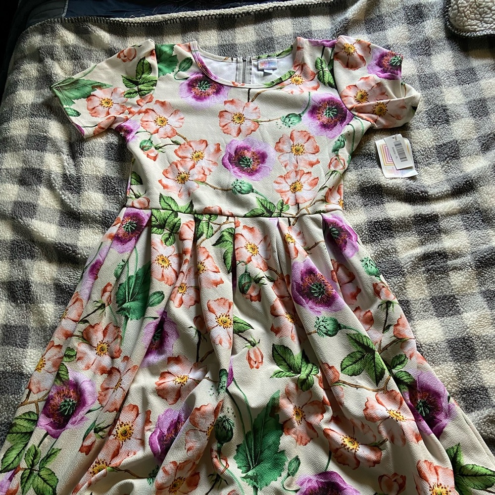 NWT Lularoe Amelia